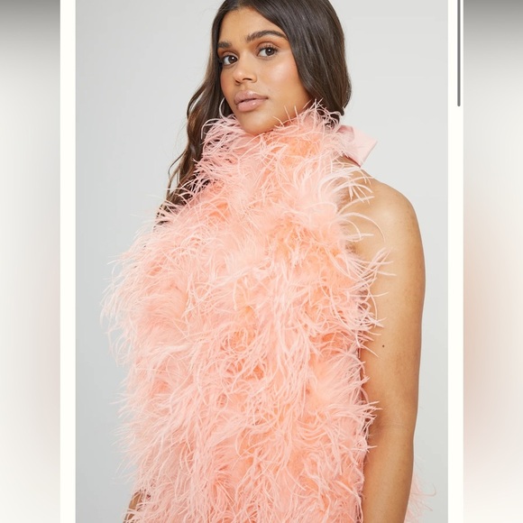 SAFFIYYAH PAUL Ostrich Feather Peach High Neck Open Back Mini Dress M/L - Picture 14 of 16